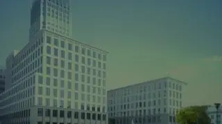 Tak będzie wyglądał szkieletor