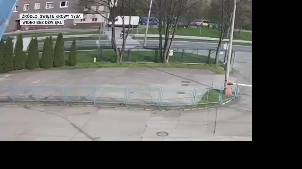 potrącenie pieszego