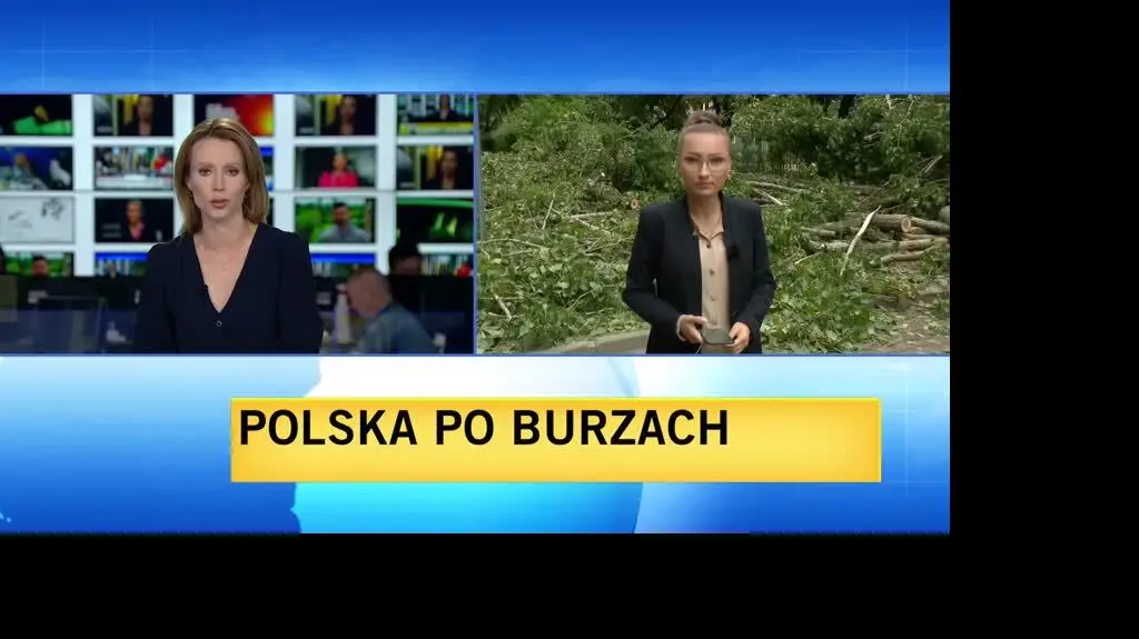 zamecka2