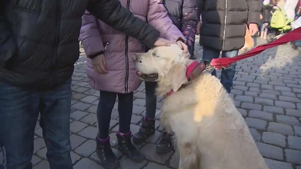 Próba generalna przed WOŚP