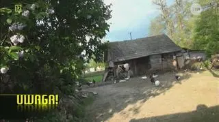 Dramat zwierząt na Podkarpaciu