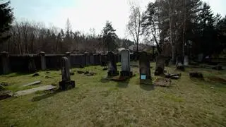 Cmentarz żydowski w Niepołomicach