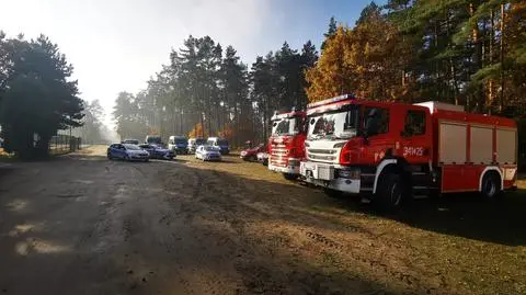 Wyszła na grzyby i zaginęła. Odnaleźli ją po trzech dniach, kobieta zmarła w szpitalu