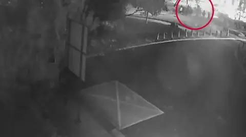 Pobicie trzech Włochów. Policja opublikowała nagranie z monitoringu