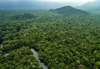 Ruszył COP30. "Nie zamierzam tego upiększać. Wciąż mamy wiele pracy"