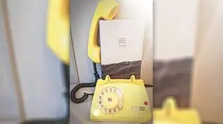 Do budki trafi żółty telefon podarowany przez panią Annę