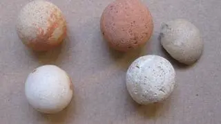 Skarby z Ostrowa Tumskiego