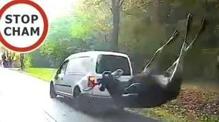 Do zdarzenia doszło pod Skierniewicami