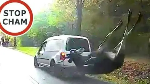 Do zdarzenia doszło pod Skierniewicami