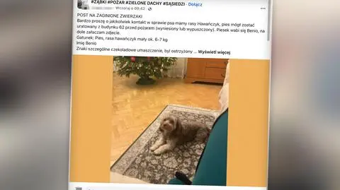 Po pożarze w Ząbkach mieszkańcy szukają zaginionych zwierzaków 
