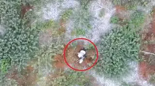 Poszukiwania 83-letniej grzybiarki zakończyły się powodzeniem