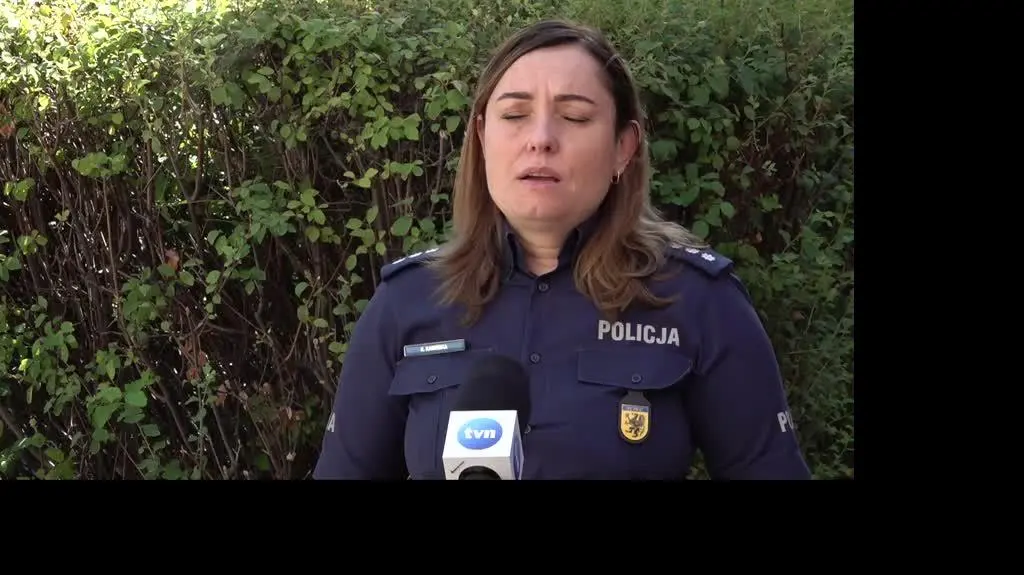 policja