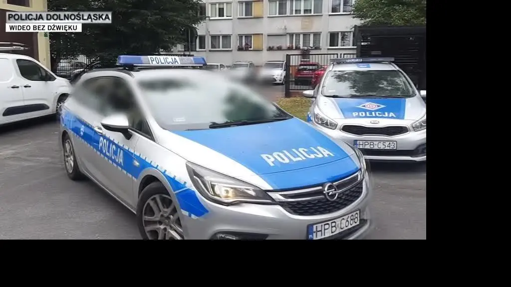 Policja