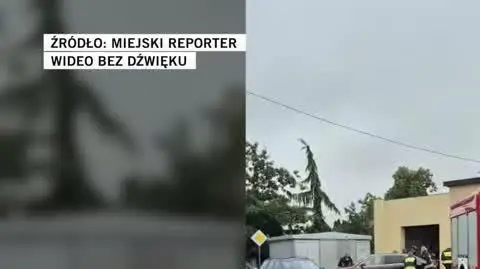 Miejski Reporter