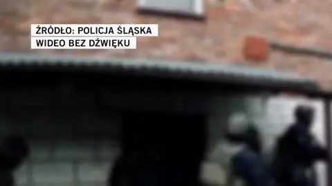 Policja Śląska