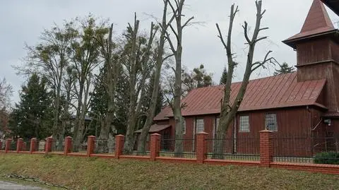 Drzewa rosną tuż przy drodze 