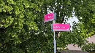 Skrzyżowanie ulic Północnej i Kasztanowej w Kutnie