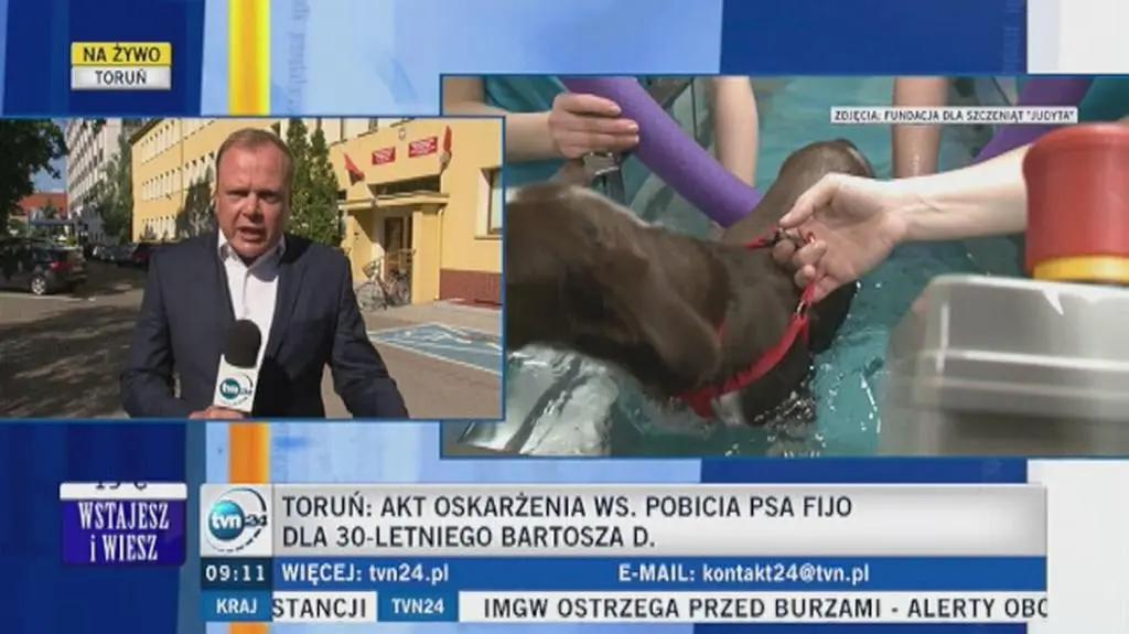Biegli nie mają wątpliwości że pies został pobity