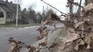 Miejsce, w którym znaleziono ciało Mikołaja