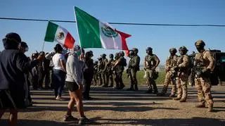 Akcja służb migracyjnych na plantacji marihuany w Camarillo w Kalifornii