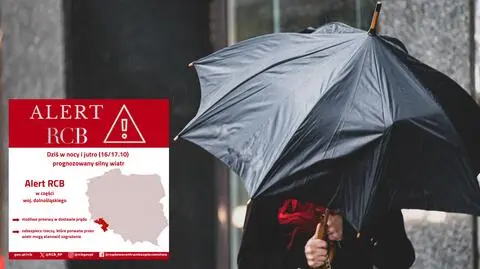 Alert RCB. "Możliwe przerwy w dostawie prądu"