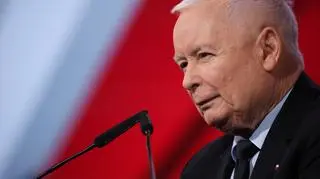 "Obraz, który nie odpowiada rzeczywistości". Ambasador o słowach Kaczyńskiego