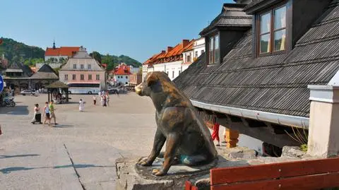 AdobeStock_562936171