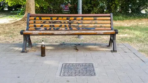 Alkohol, butelka, ławka, piwo, park