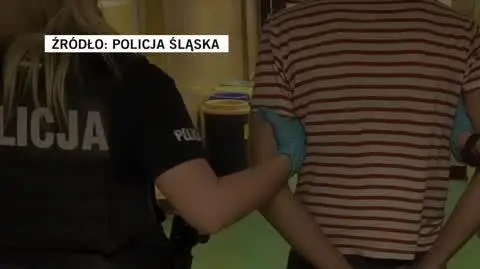 policja slaska