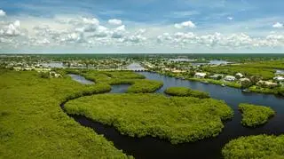 Everglades