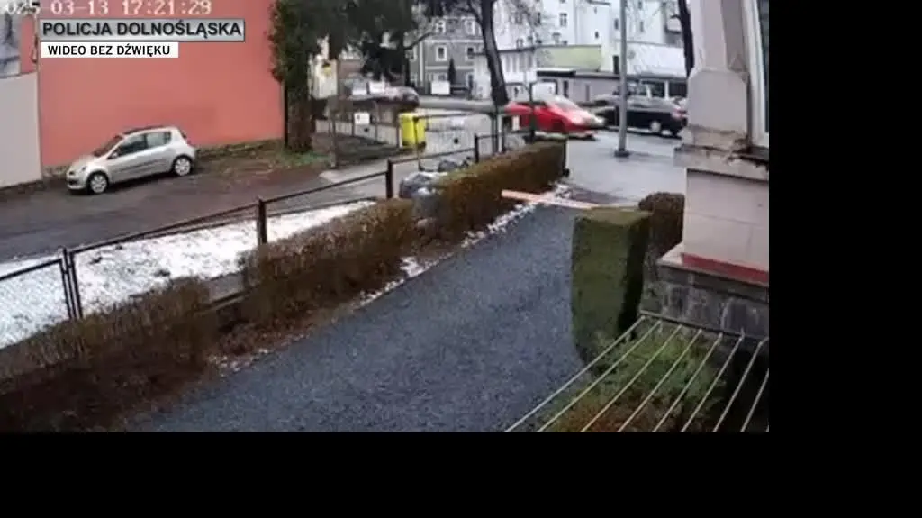 policja
