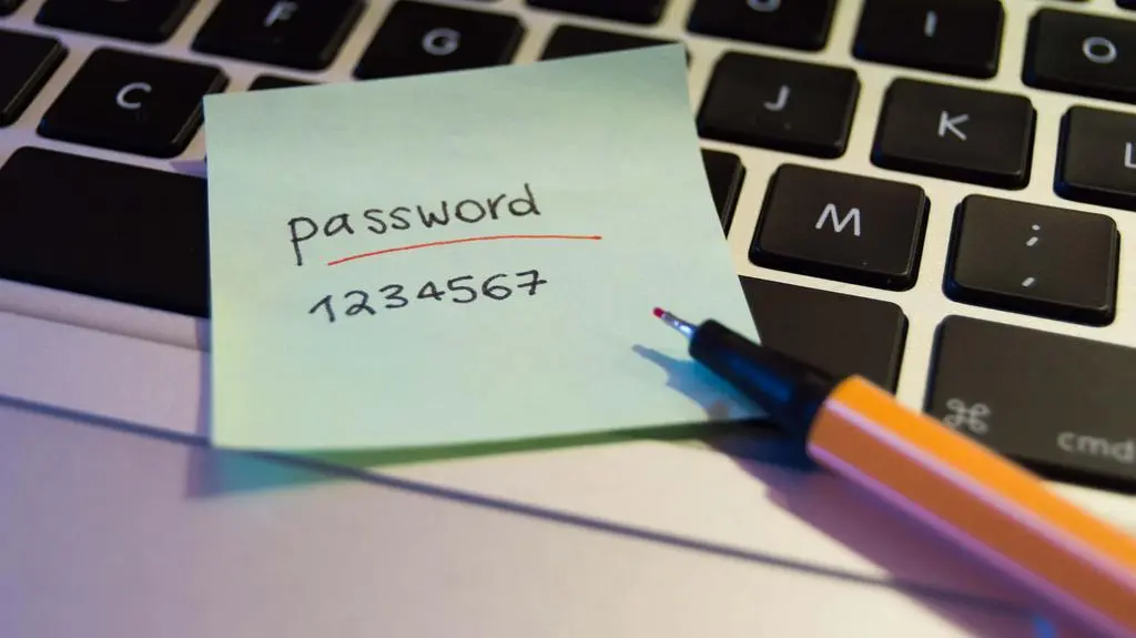 Oto 10 najpopularniejszych haseł używanych przez Polaków w sieci