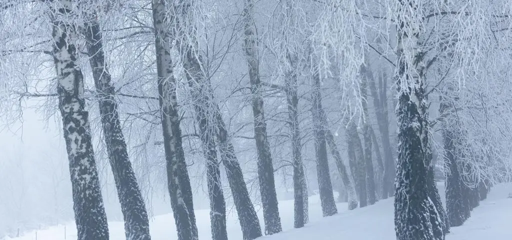 Dziś może być nawet -10 stopni