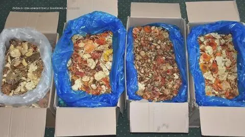 Klatka kluczowa-230406