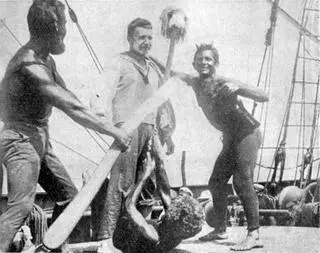 13 sierpnia 1923 - "Lwów", jako pierwsza polska jednostka, przepłynął równik podczas rejsu do Brazylii. Na zdjęciu golenie w czasie "chrztu równikowego"