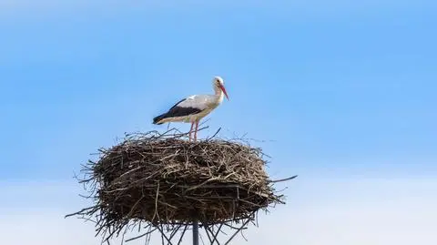 shutterstock_2708086565_1