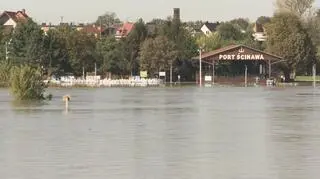 Ścinawa (11:00, 20.09.2024)