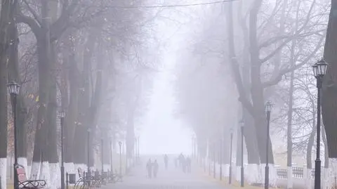 Mgła, duża wilgotność, pochmurno