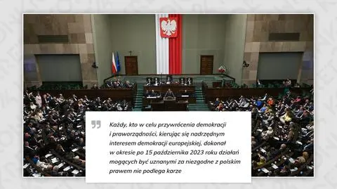 "Ustawa bezkarnościowa". Paragraf, który zaistniał tylko w sieci 