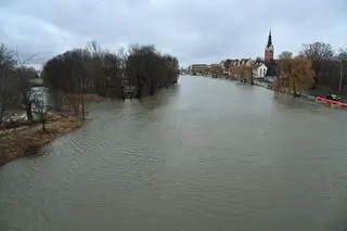 Przekroczenie stanu alarmowego na rzece Elbląg w Elblągu