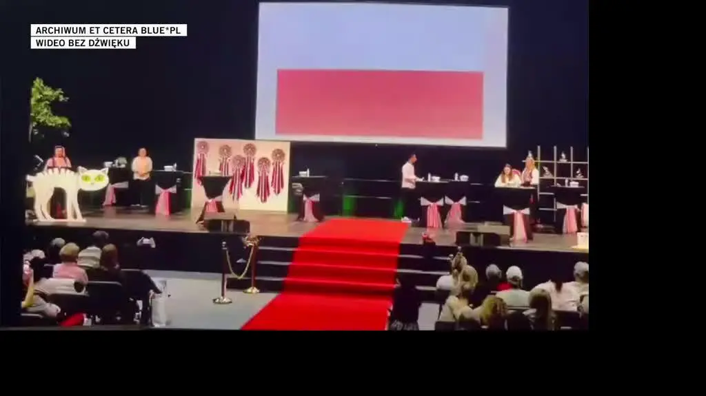  Archiwum Et Cetera Blue