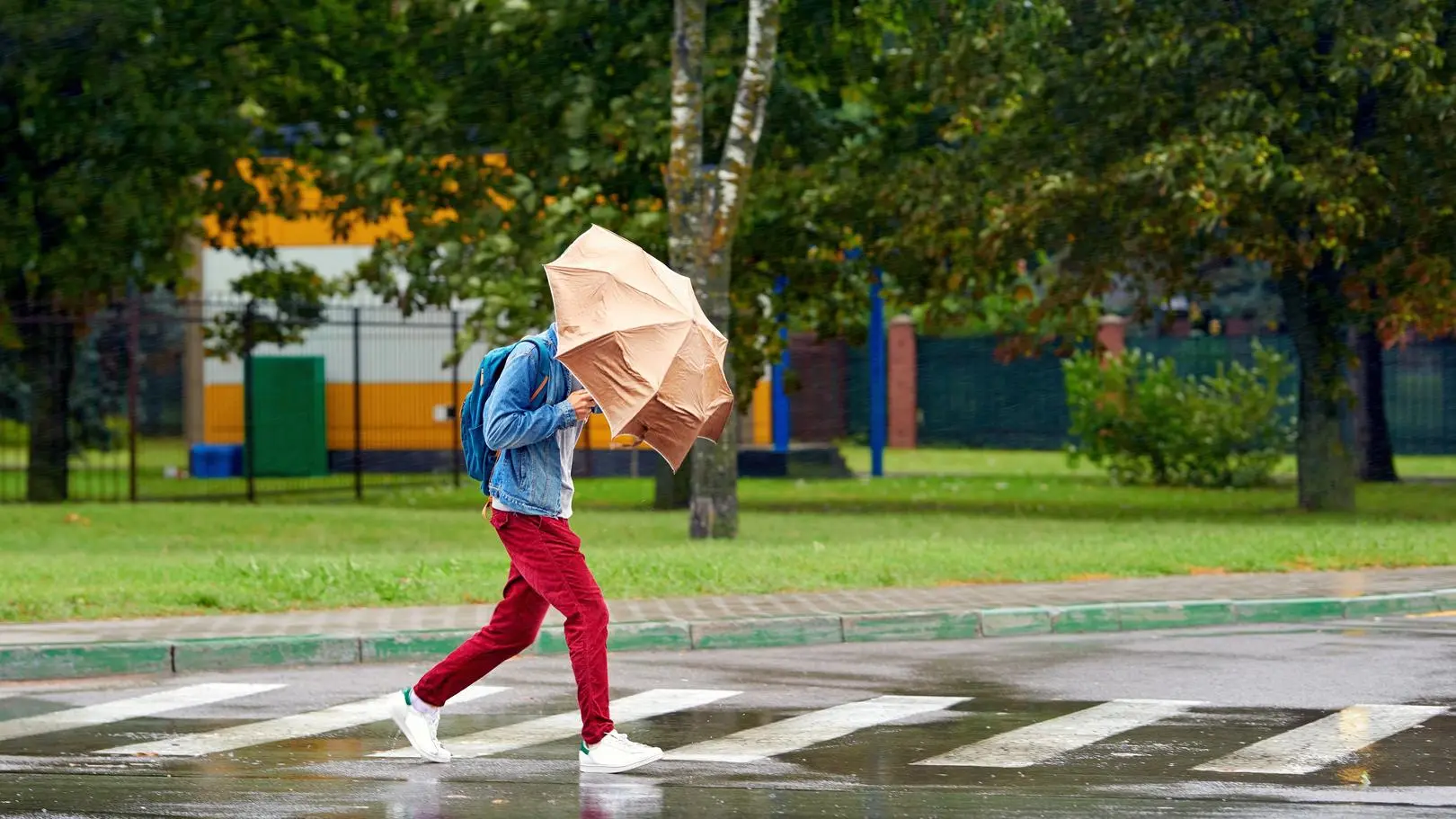 Tu przez cały czas silnie wieje. IMGW ostrzega także przed burzami