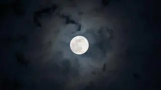 Rozwiązanie tego quizu to prawdziwy horror. Zmierz się z nim przed Halloween