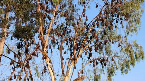 AdobeStock_495329614