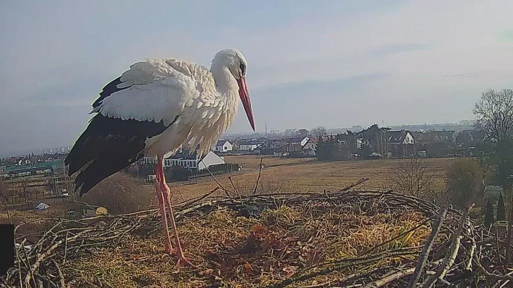 Klatka kluczowa-282806