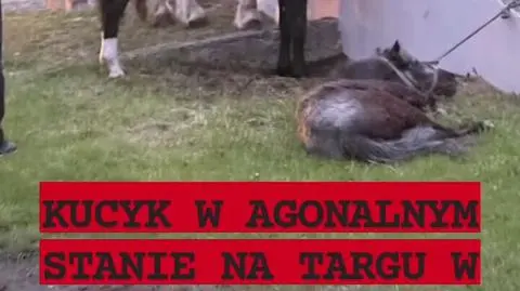 Klatka kluczowa-425328