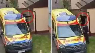 Rzucił się na policjantów z maczetą. Został zastrzelony. Dramatyczne nagranie