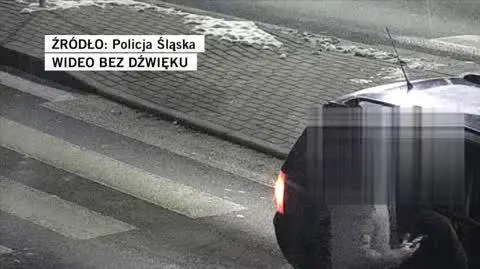 Policja Śląska