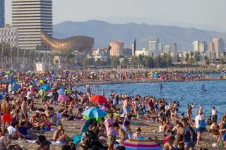 Plaża w Barcelonie