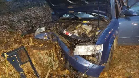 Wjechał w pień po ściętym drzewie 